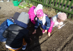 Dzieci przysypują ręką nasiona.